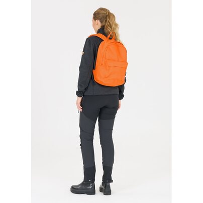 Kuprinė WHISTLER Lorny Backpack  10