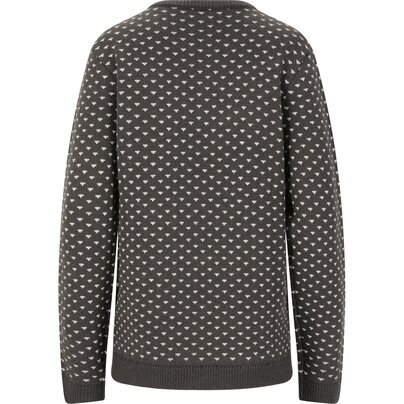 Moteriškas džemperis WHISTLER Borge W Knit Sweater  