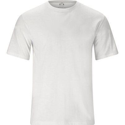 Vyriški marškinėliai WHISTLER Caloot M SS T-Shirt 