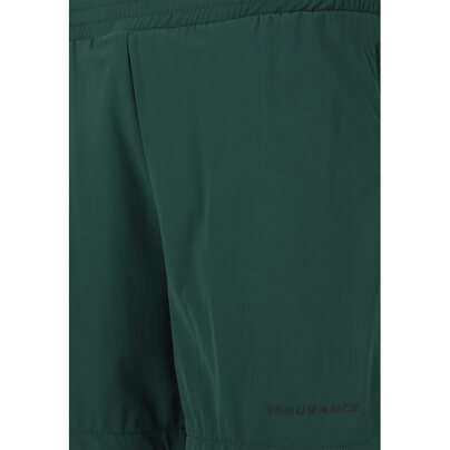 Vyriški šortai ENDURANCE: Dyne M Shorts 