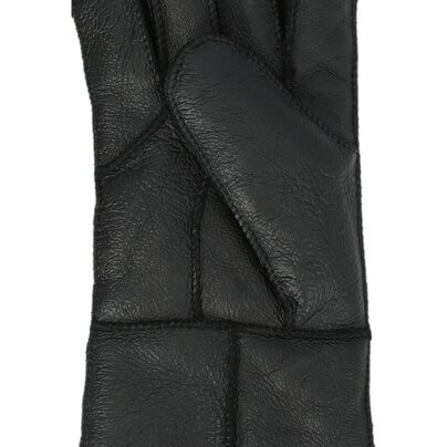 Vyriškos pirštinės WHISTLER Virging M Shearling GLoves 