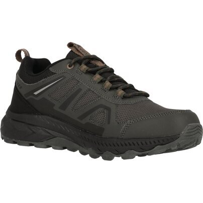 Neperšlampami vyriški batai WHISTLER Qisou M Outdoor Shoe WP  