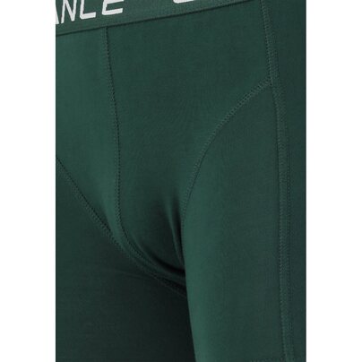 Vyriški apatiniai ENDURANCE Norwich M Boxershorts 1-Pack  2