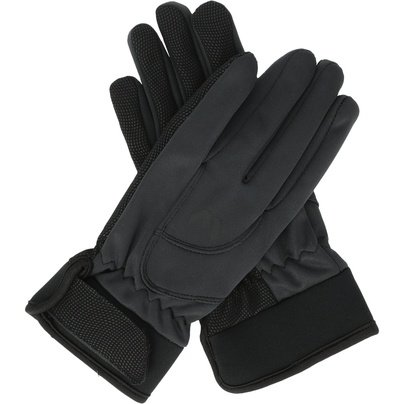 Pirštinės - WHISTLER Telun Glove 