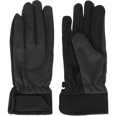 Pirštinės - WHISTLER Telun Glove 