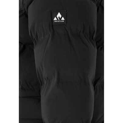 Vyriška žieminė striukė WHISTLER Creed M CFT+ Puffer Jacket  2