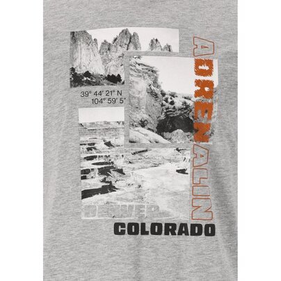 Vyriški marškinėliai CRUZ Maliko M Printed S/S T-Shirt - Light Grey Melange 