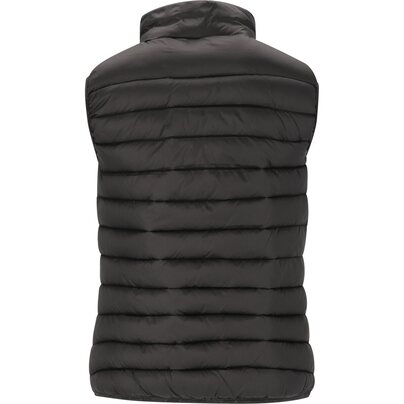 Moteriška liemenė WHISTLER Arubi W Light Puffer Vest 1