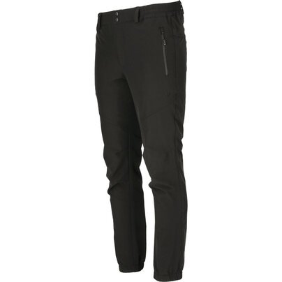 Vyriškos kelnės WHISTLER Alon M Stretch Pant