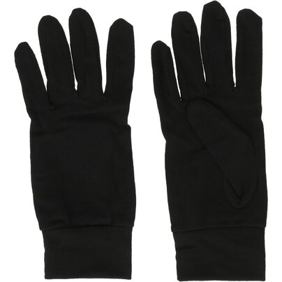 Pirštinės WHISTLER Dane Wool Glove