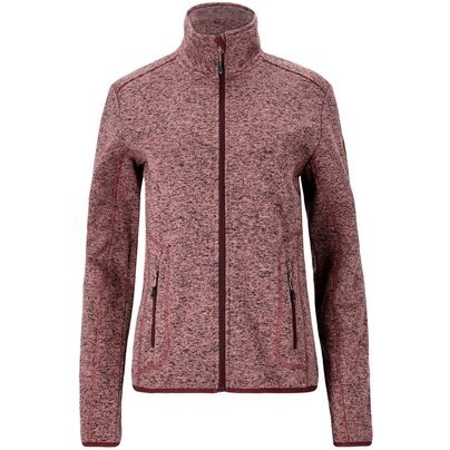 Moteriškas flisinis džemperis WHISTLER Samani W Melange Fleece Jacket 