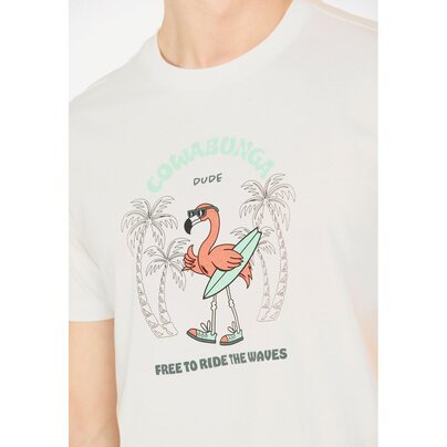 Vyriški marškinėliai CRUZ:  Ankara M Printed S/S T-Shirt 