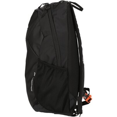Kuprinė WHISTLER Froswick 20L Backpack  1