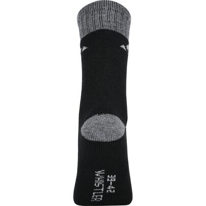 Kojinės WHISTLER Waverlou 2-Pack Socks 