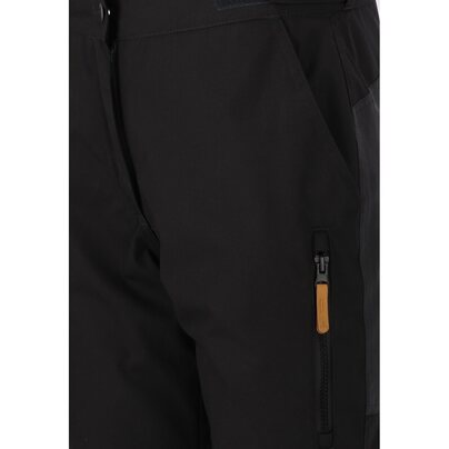 Vyriškos kelnės WHISTLER Wander M Insulated Outdoor Pant W-Pro 10000