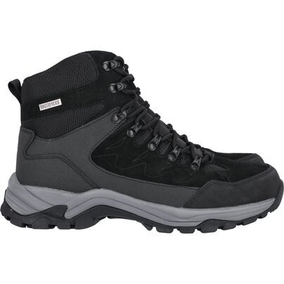 Unisex batai WHISTLER Detion U Outdoor Leather Boot WP 