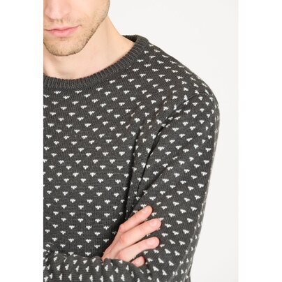 Vyriškas džemperis WHISTLER Borge M knit Sweater 
