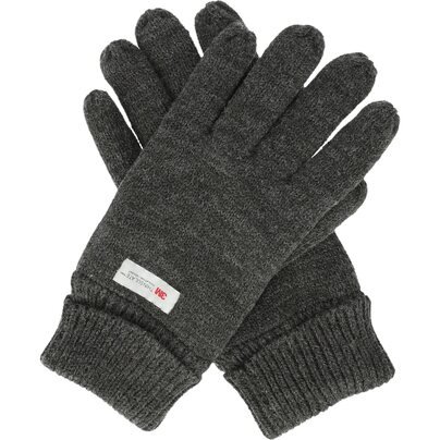 Pirštinės WHISTLER Roumat M Thinsulate Knit Glove