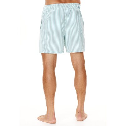 Vyriški maudymosi šortai CRUZ Kenny M Mid Thigh Boardshorts 