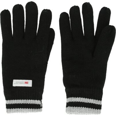 Pirštinės WHISTLER Hancok M Thinsulate Knit Glove w/o Finger Touch 