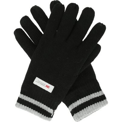 Pirštinės WHISTLER Hancok M Thinsulate Knit Glove w/o Finger Touch 