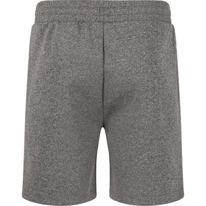 Vyriški šortai CRUZ: Kanpur M Melange Sweat Shorts 